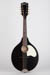 Waterloo WL-M Mandolin