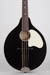 Waterloo WL-M Mandolin
