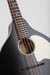 Waterloo WL-M Acoustic Mandolin