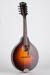 Waterloo WL-M Mandolin Guitar Full Angled
