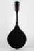 Waterloo WL-M Acoustic Mandolin