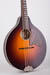 Waterloo WL-M Mandolin Body Face