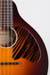 Waterloo WL-M Mandolin Pickguard