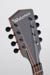 Waterloo WL-M Mandolin Ebony Nut