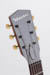 Waterloo WL-AT Archtop Guitar