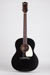 Waterloo WL-JK Guitar Full Front