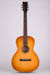 Waterloo WL-K Guitar