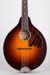 Waterloo WL-M Mandolin Guitar Body