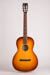 Waterloo WL-S Guitar