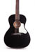 Waterloo WL-14 Guitar Black